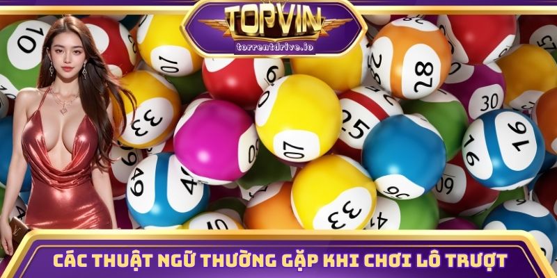 Các thuật ngữ thường gặp khi chơi lô trượt Topvin
