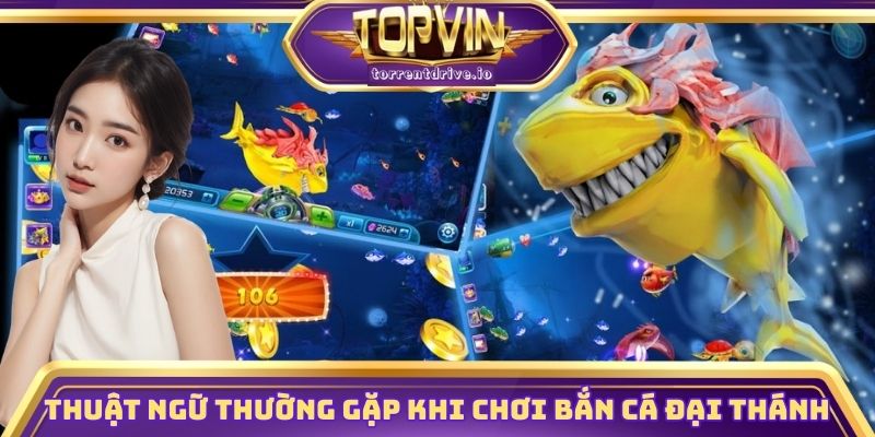 Thuật ngữ thường gặp khi chơi bắn cá đại thánh Topvin